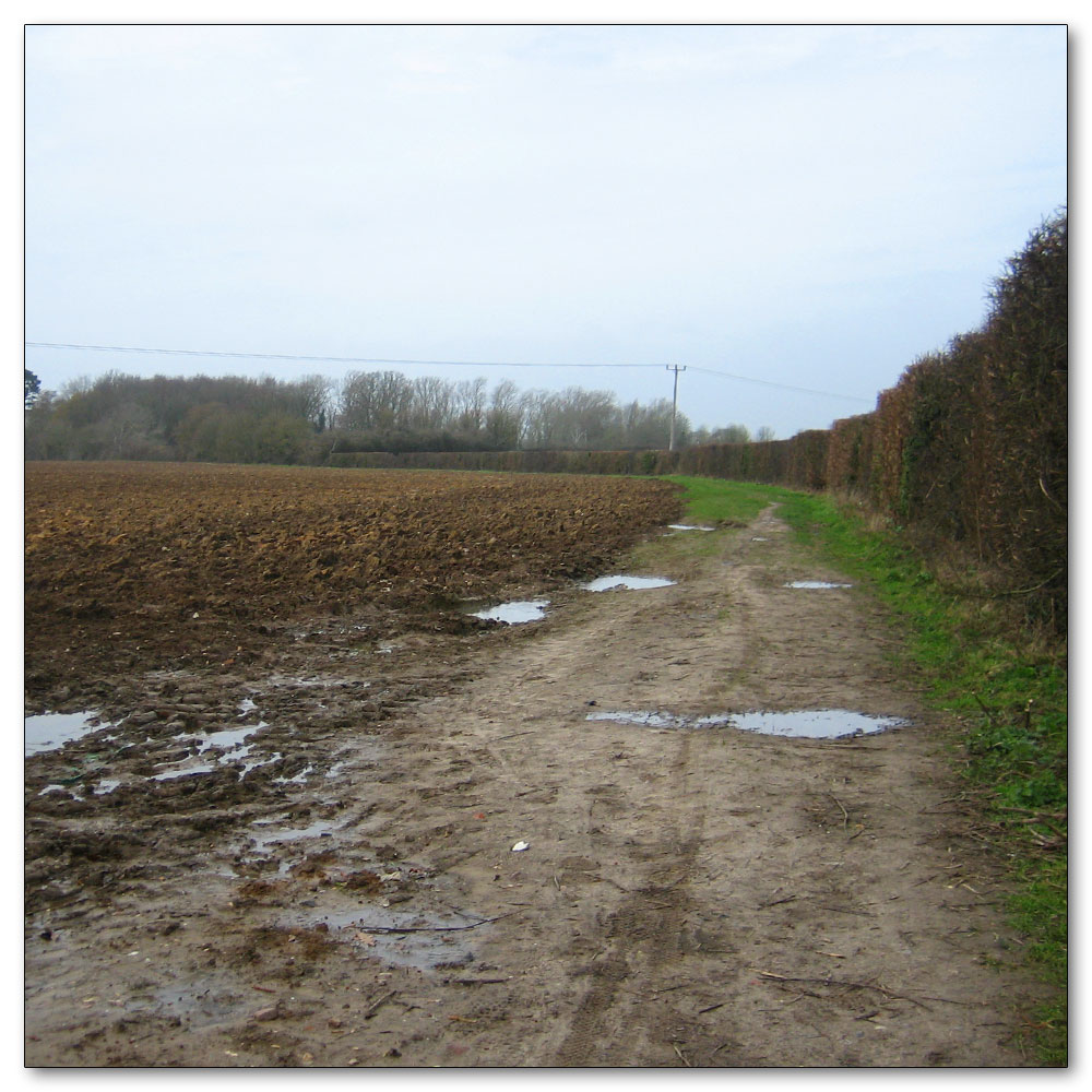 Manor Farm, Field entrance off the A286 heading east