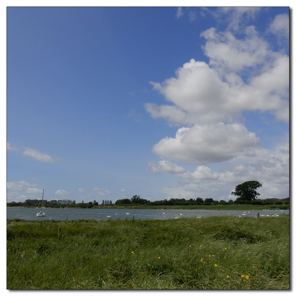 Fishbourne Mill Pond, 