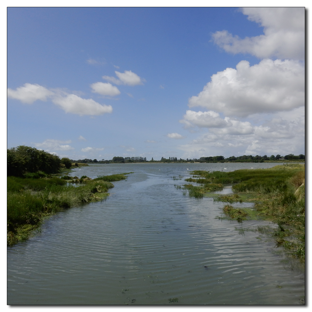 Fishbourne Mill Pond, 