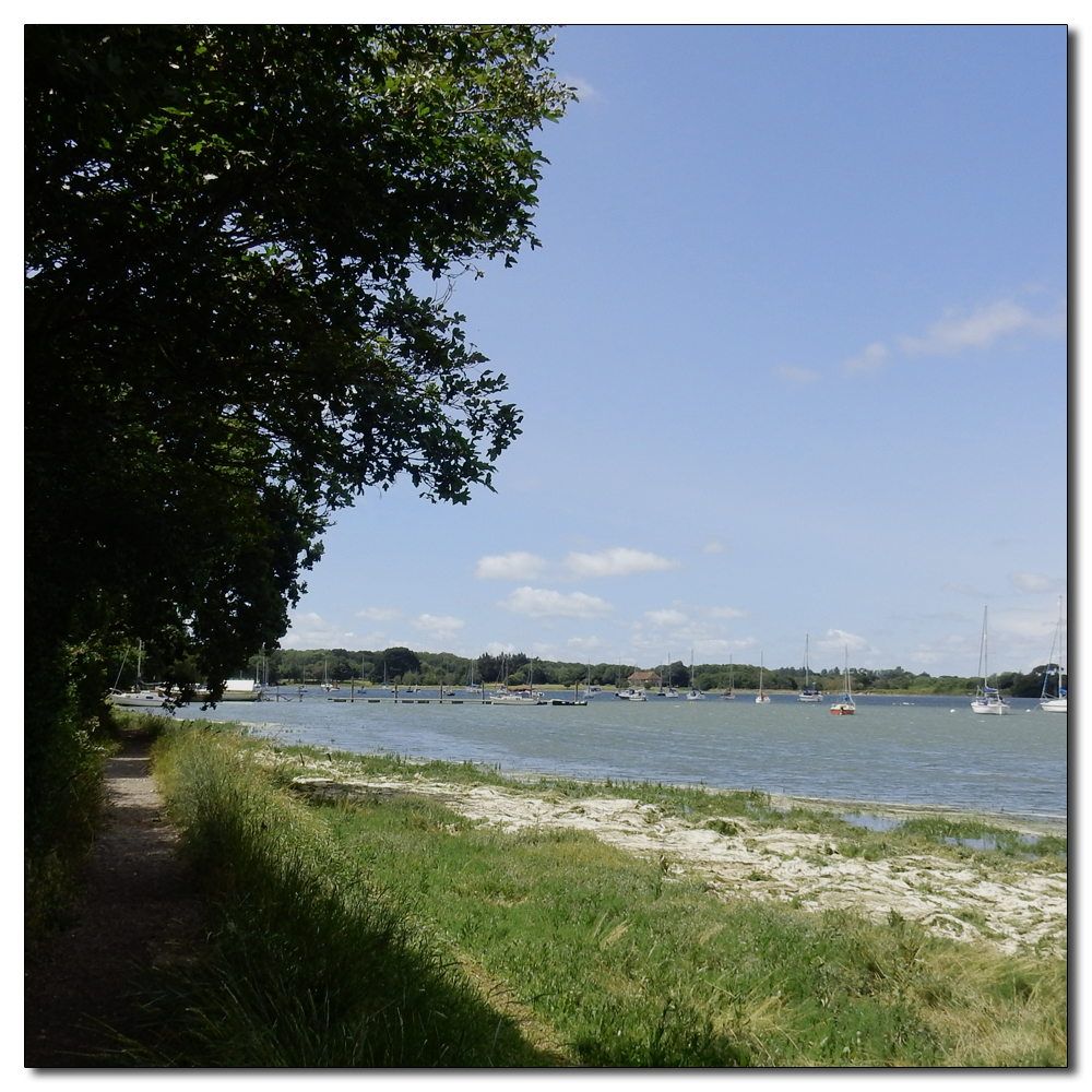 Fishbourne Mill Pond, 