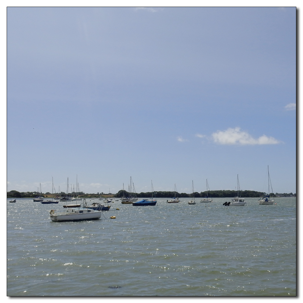 Fishbourne Mill Pond, 