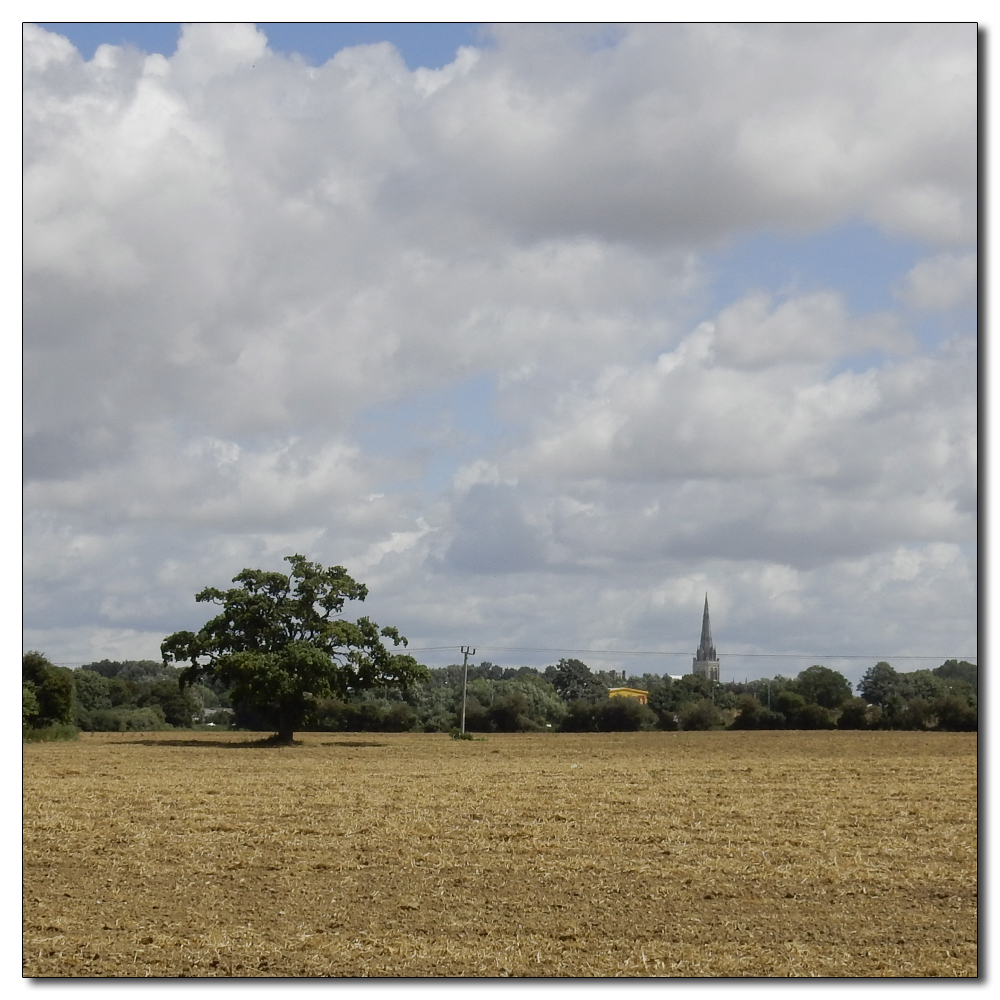 Fishbourne Mill Pond, 