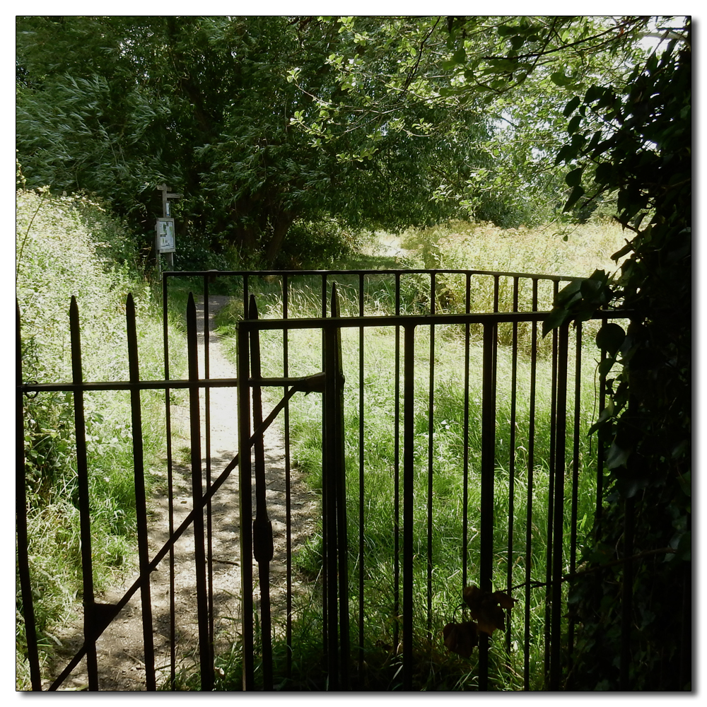 Fishbourne Mill Pond, 