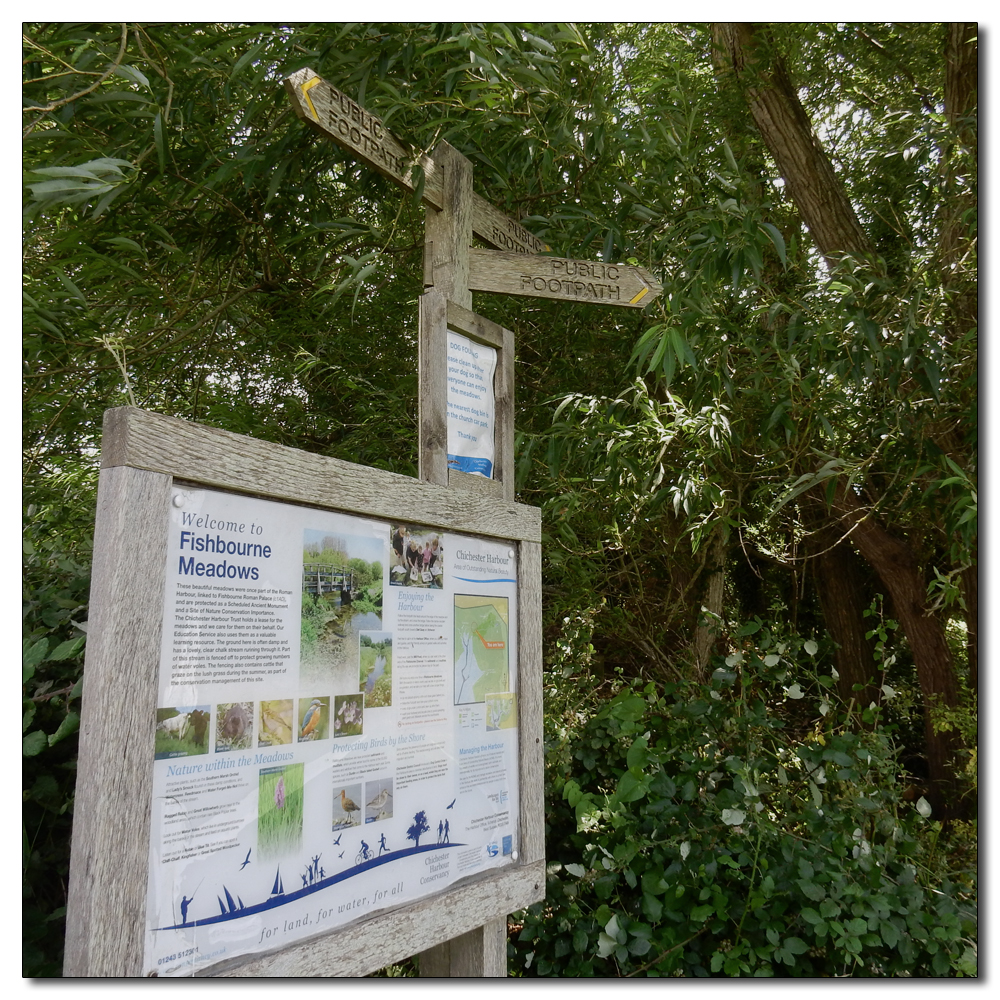 Fishbourne Mill Pond, 