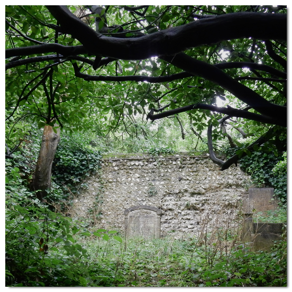 Forgotten graves of Woodvale, 