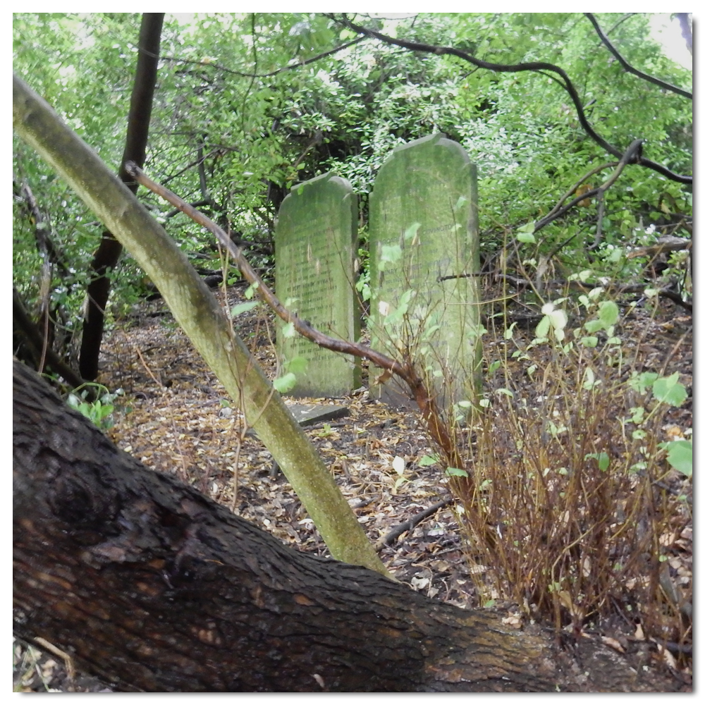 Forgotten graves of Woodvale, 