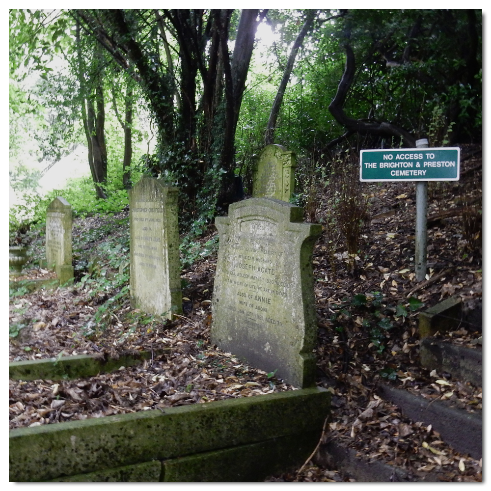 Forgotten graves of Woodvale, 