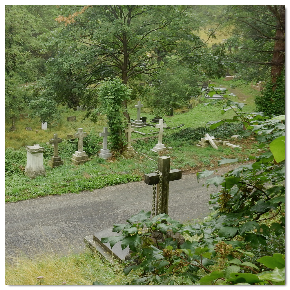 Forgotten graves of Woodvale, 