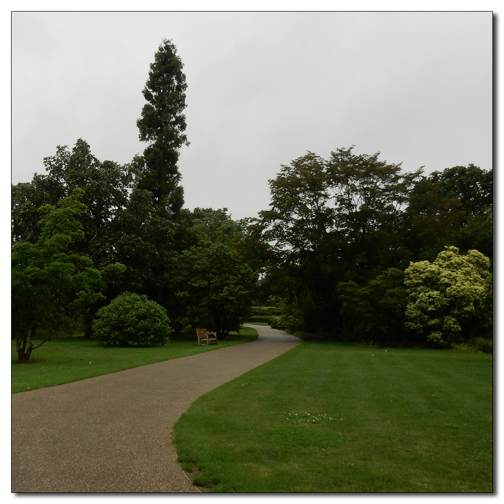 Wakehurst in the rain, 