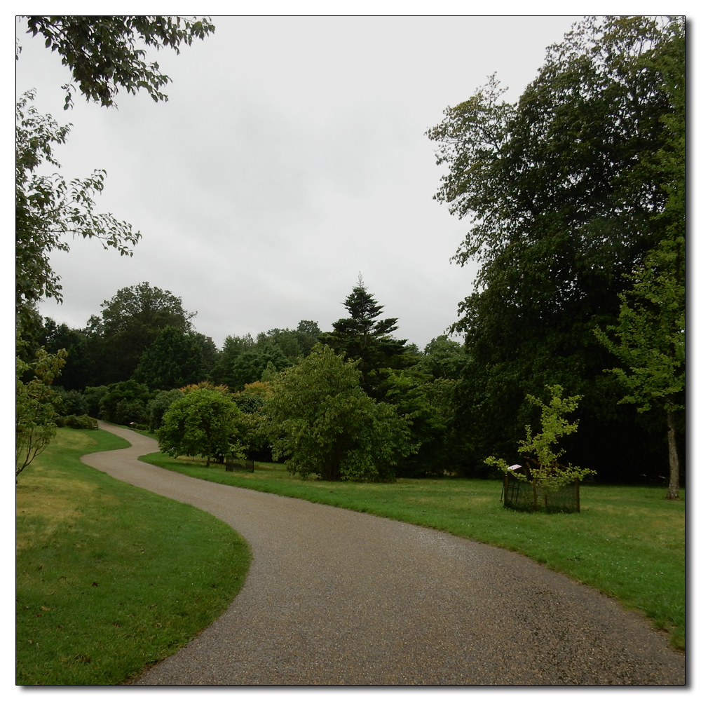 Wakehurst in the rain, 