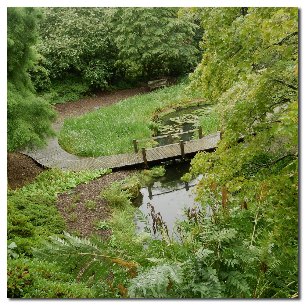 Wakehurst in the rain, 