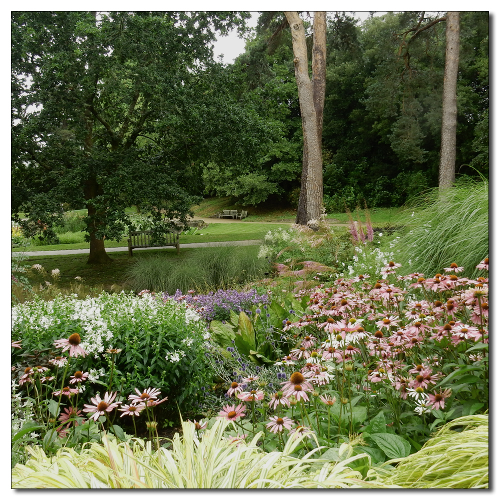 Wakehurst in the rain, 