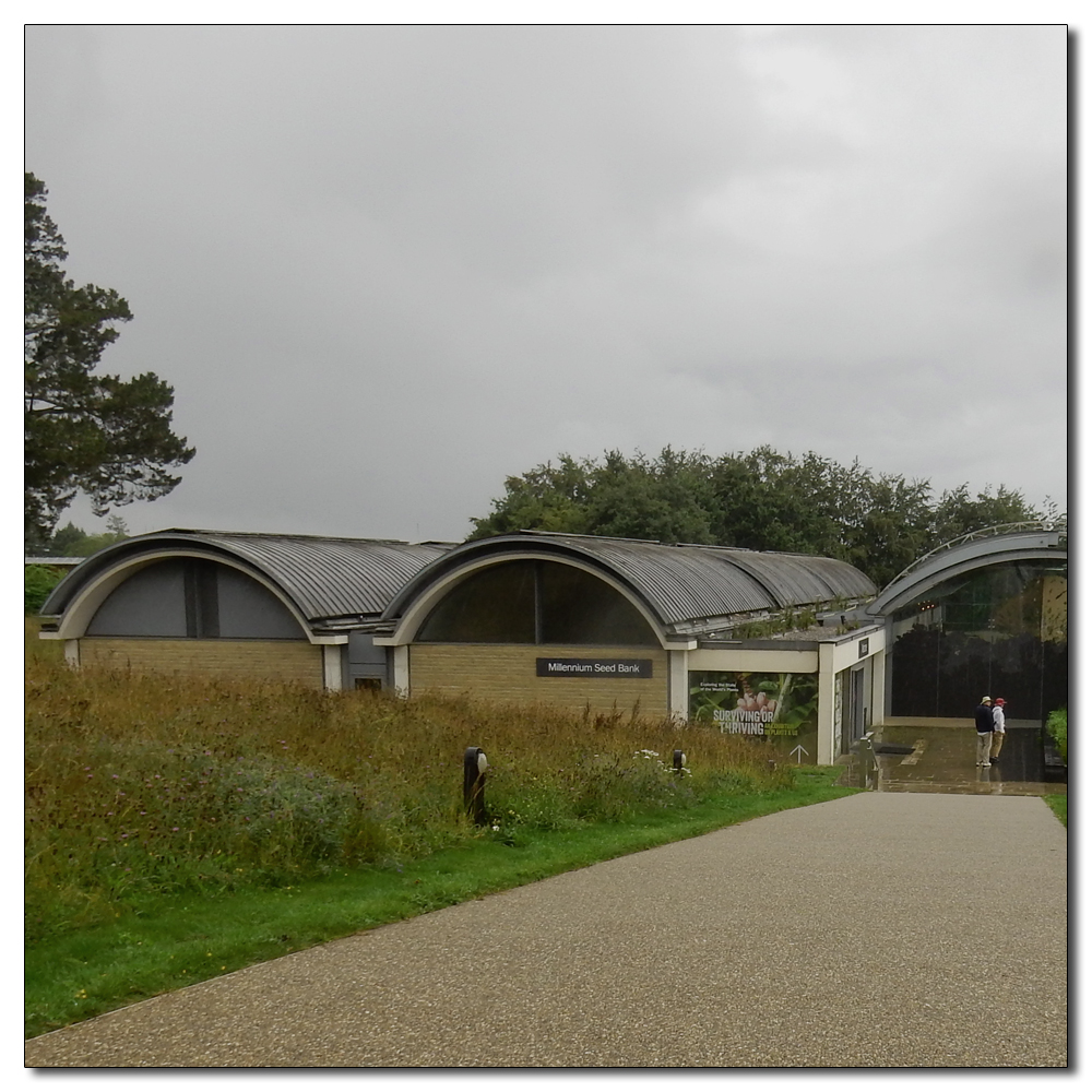 Wakehurst in the rain, Millennium Seed Bank