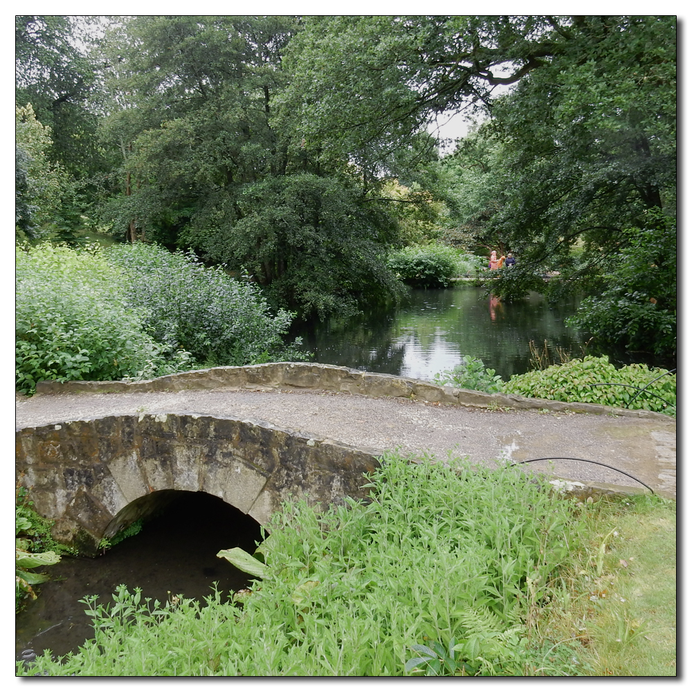 Wakehurst in the rain, 