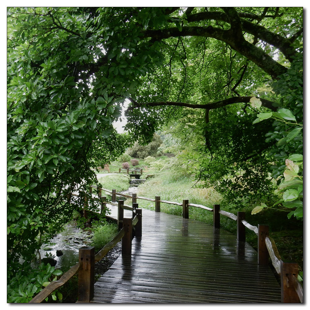 Wakehurst in the rain, 