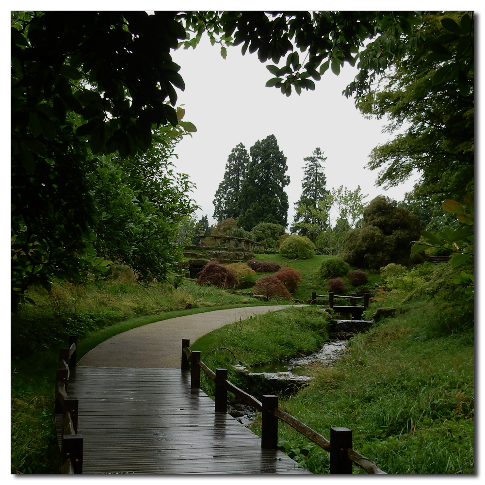 Wakehurst in the rain, 