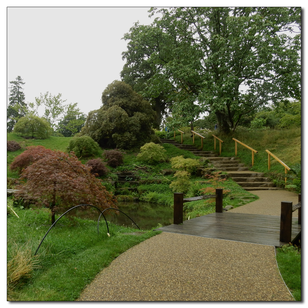 Wakehurst in the rain, 