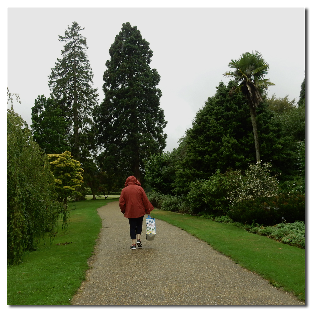 Wakehurst in the rain, 