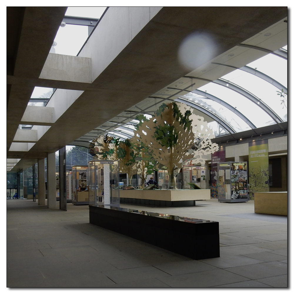 Wakehurst in the rain, Millennium Seed Bank