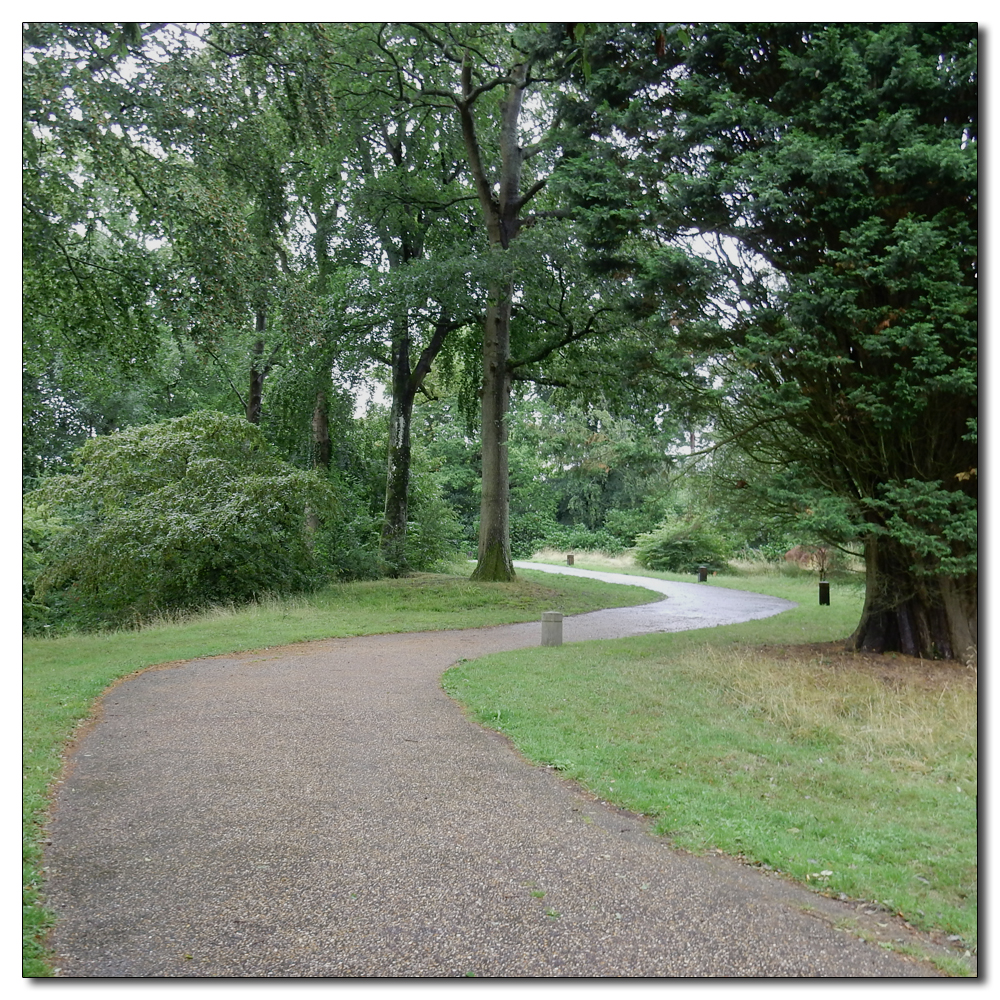 Wakehurst in the rain, 