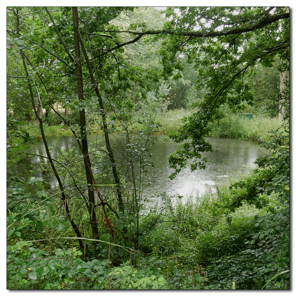 Wakehurst in the rain, 