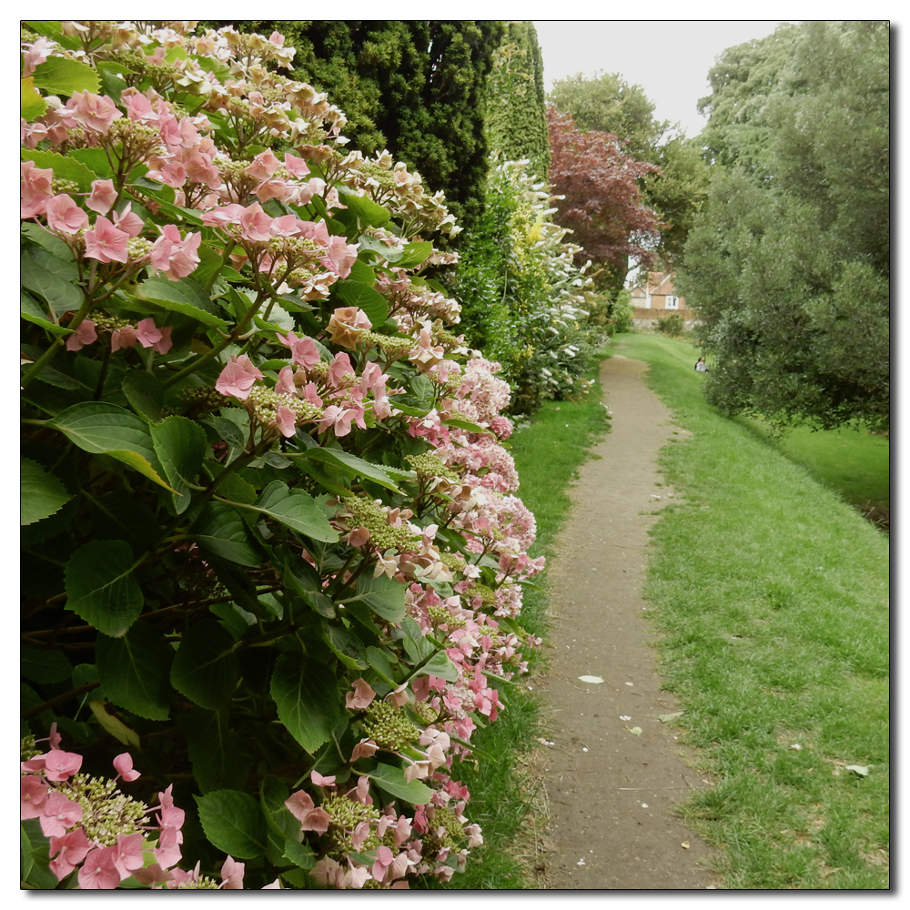 Bishop's Palace Garden, 