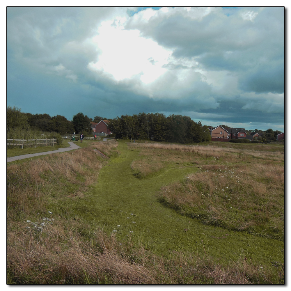 The paths of Brookfield Park, 