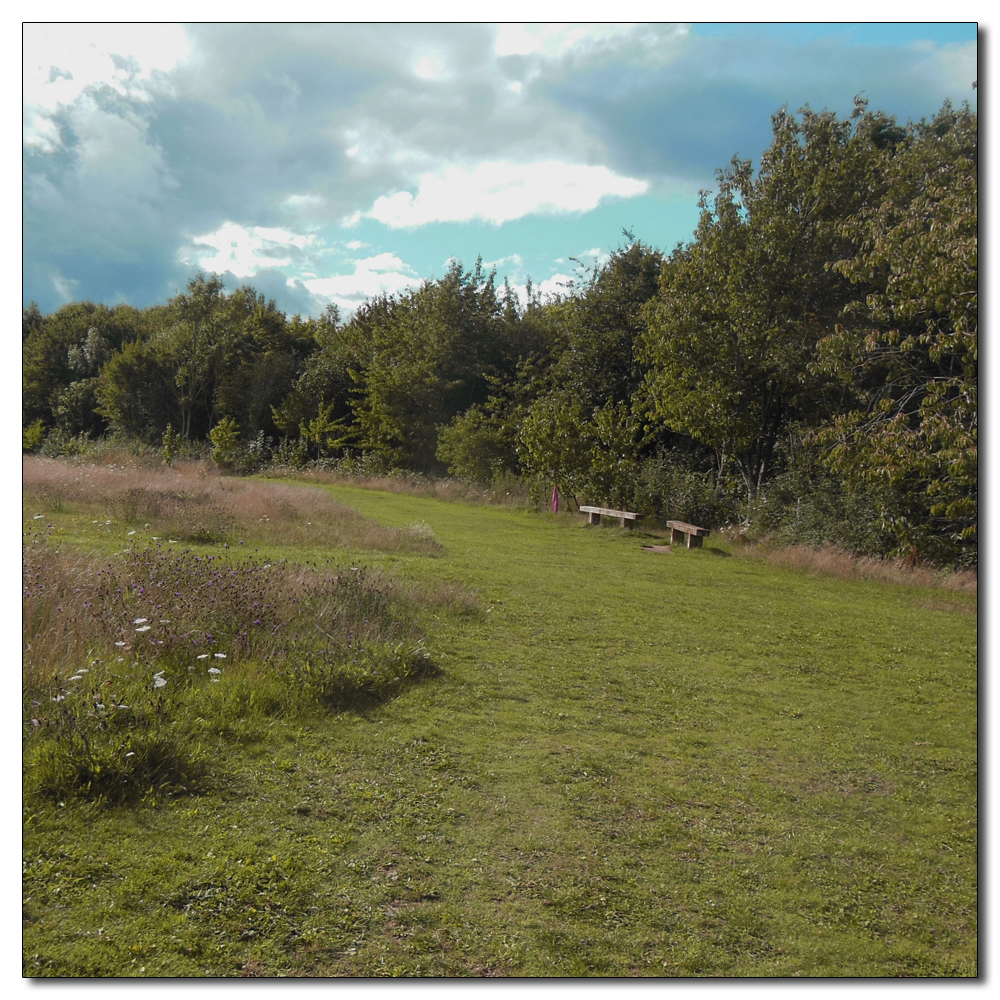 The paths of Brookfield Park, 