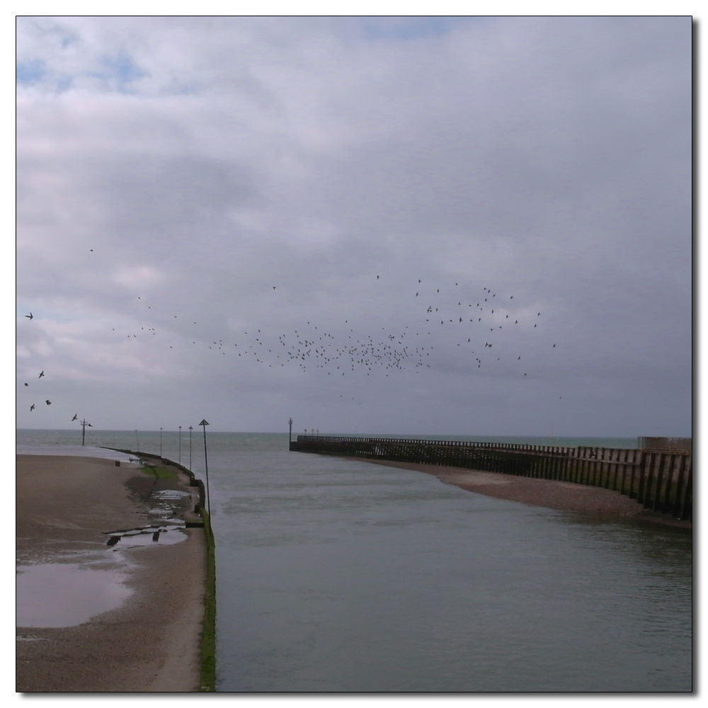 Littlehampton Parkrun, 153, 