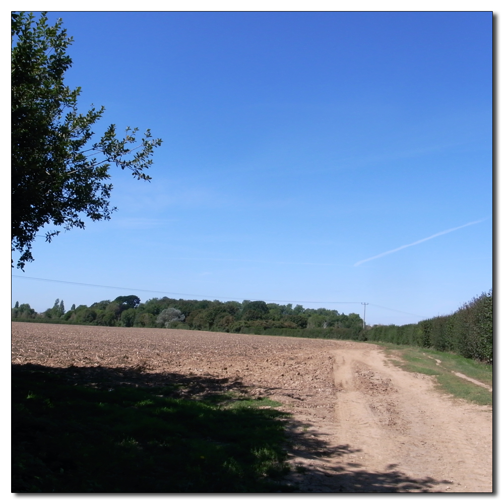 Fishbourne in the hot sun, 