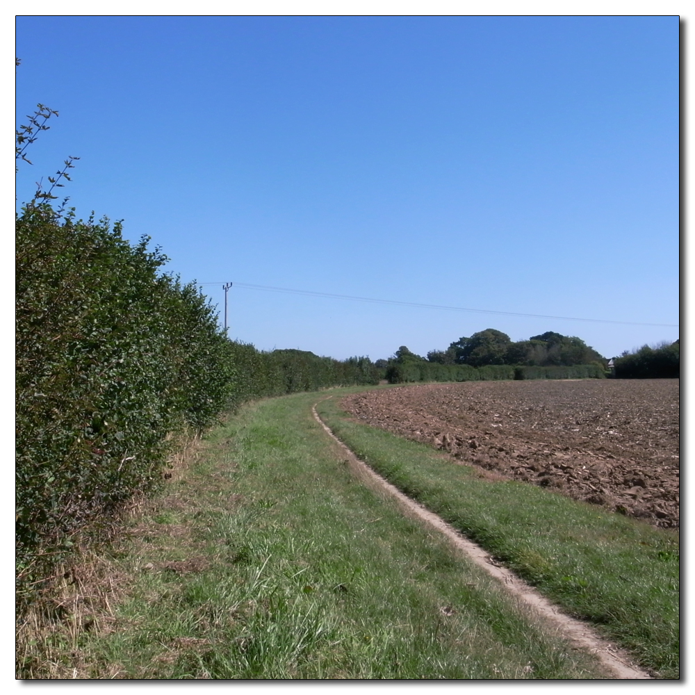 Fishbourne in the hot sun, 