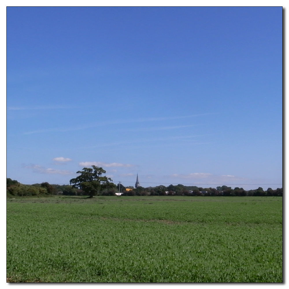 Fishbourne in the hot sun, 