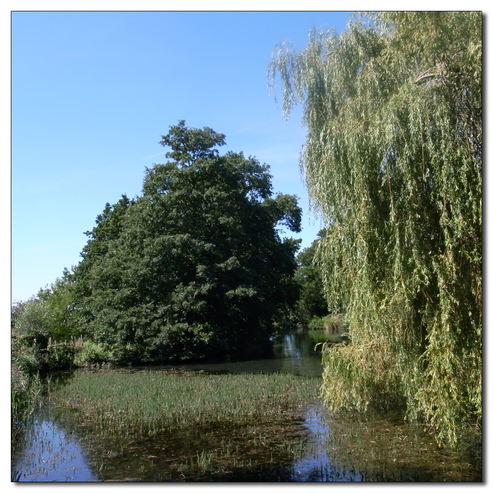 Fishbourne in the hot sun, 