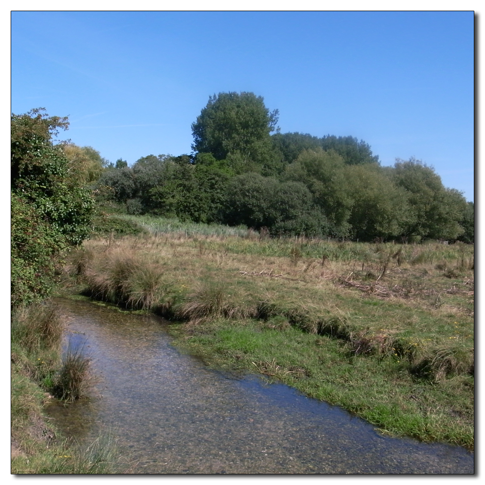 Fishbourne in the hot sun, 