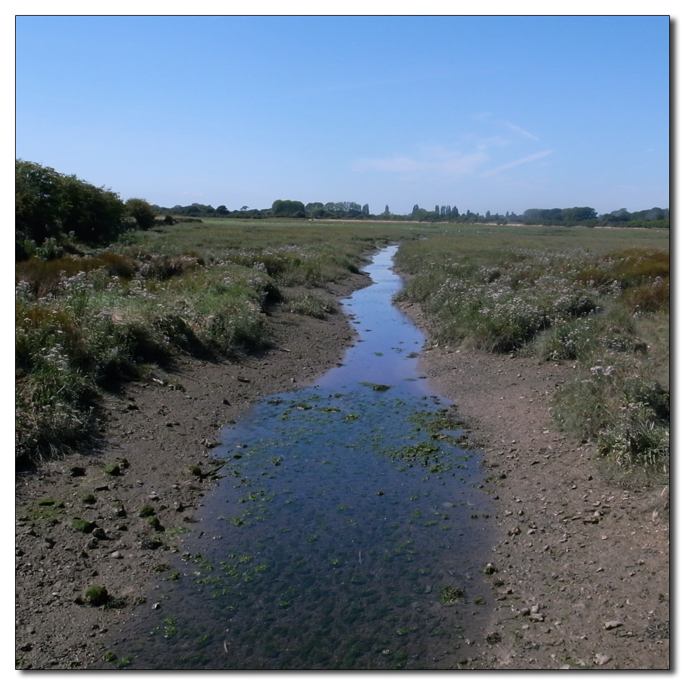 Fishbourne in the hot sun, 