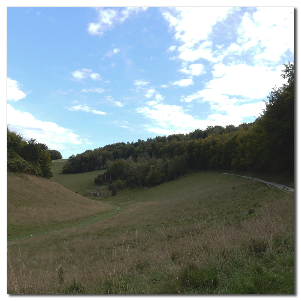 Arundel Park to Hiorne Tower, 