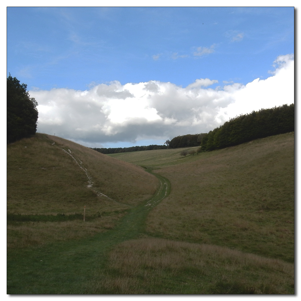 Arundel Park to Hiorne Tower, 