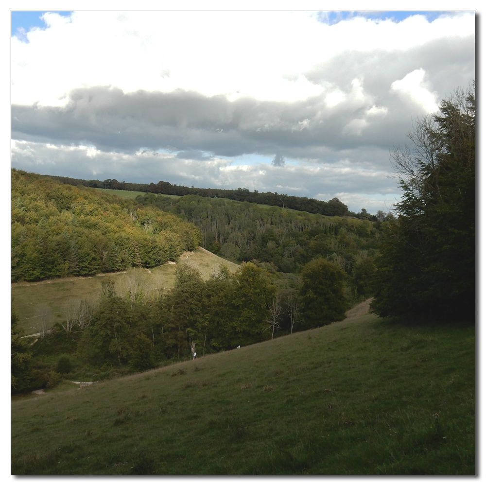 Arundel Park to Hiorne Tower, 