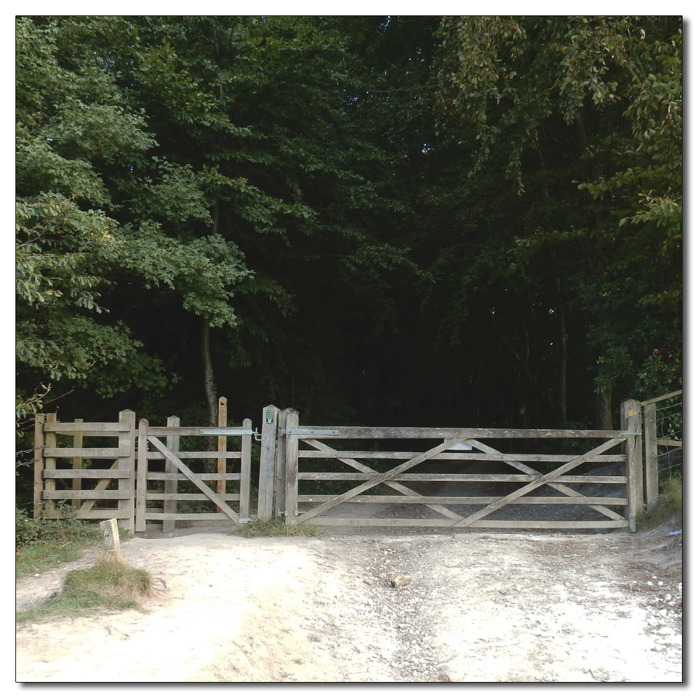 Arundel Park to Hiorne Tower, 