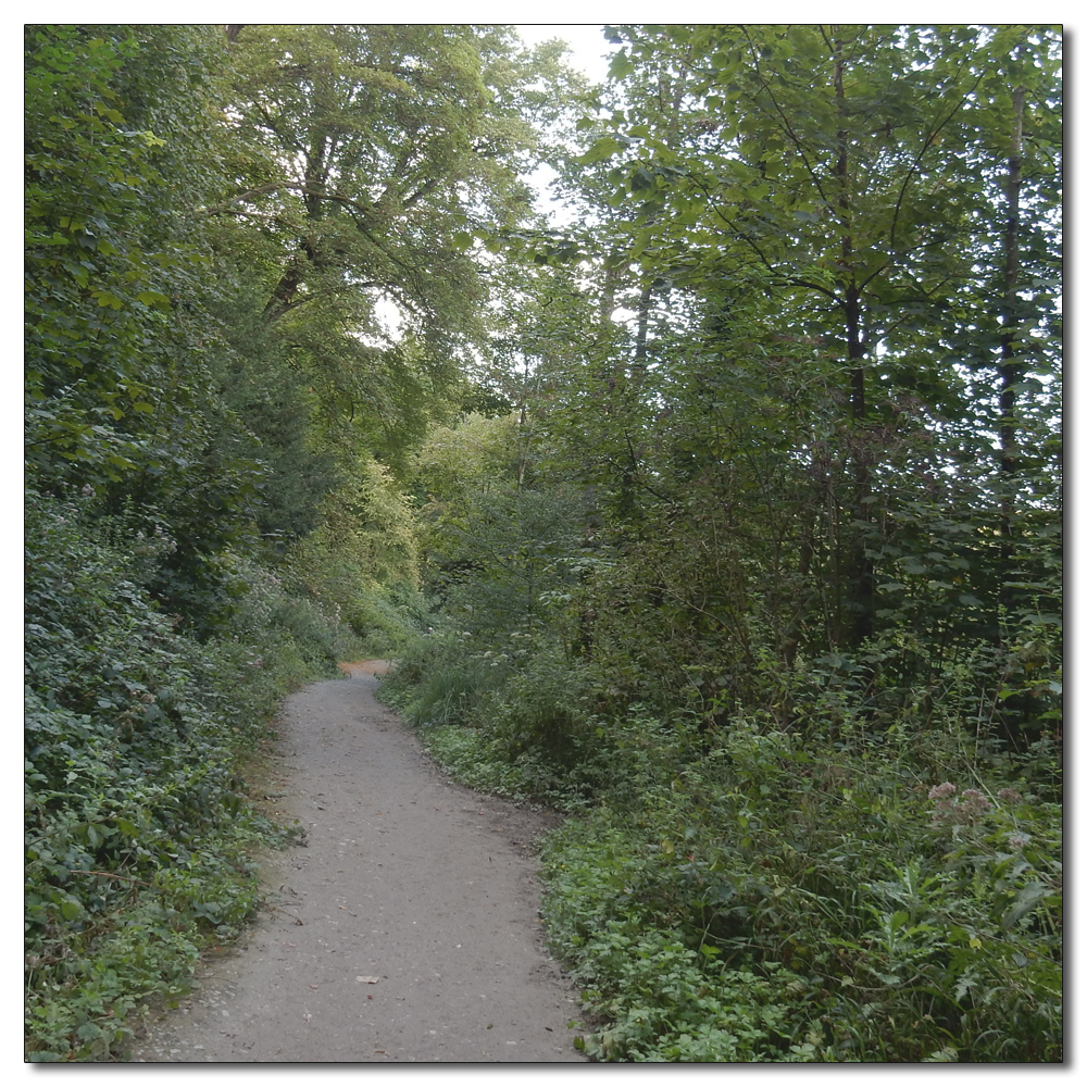 Arundel Park to Hiorne Tower, 