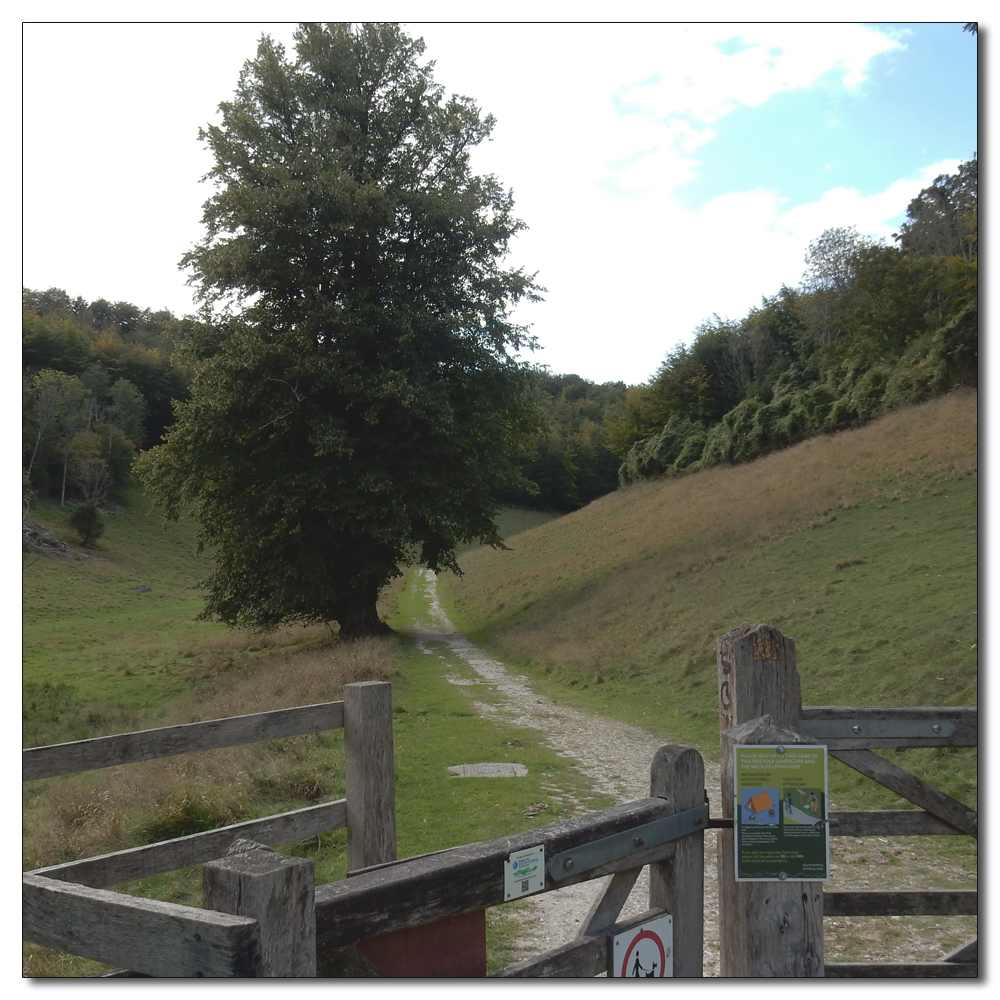 Arundel Park to Hiorne Tower, 