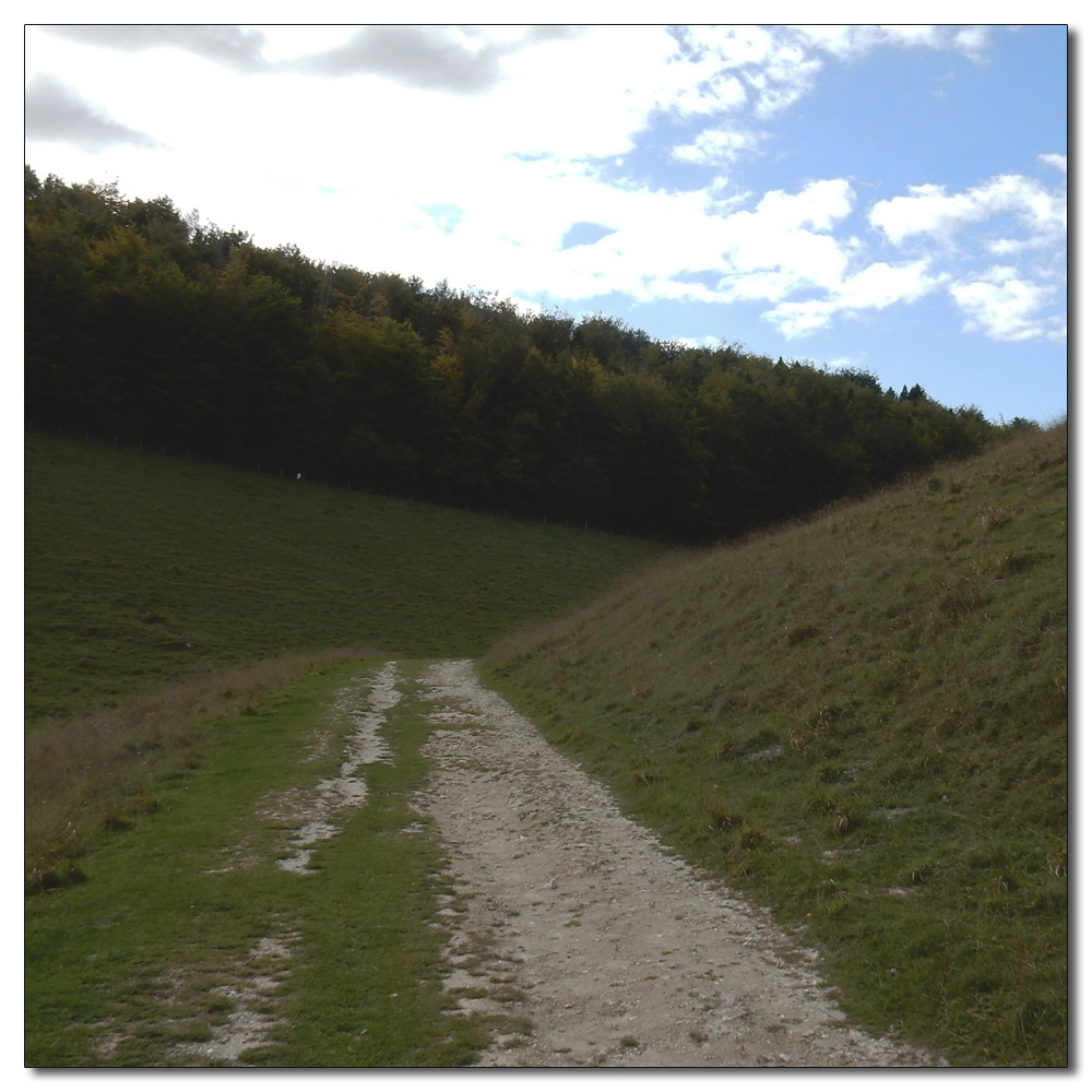 Arundel Park to Hiorne Tower, 