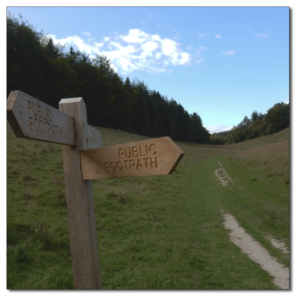 Arundel Park to Hiorne Tower, 