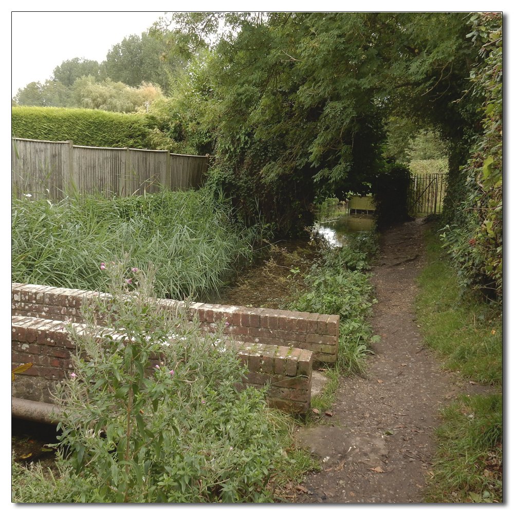 Fishbourne Mill Pond, 