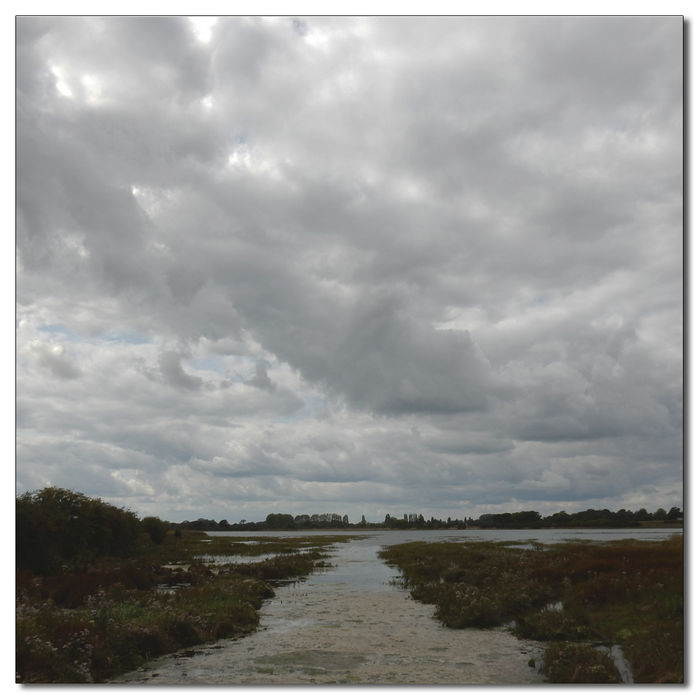 Fishbourne Mill Pond, 