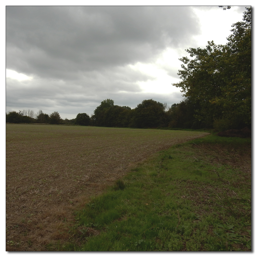 St. Peter and St. Mary, Fishbourne, 