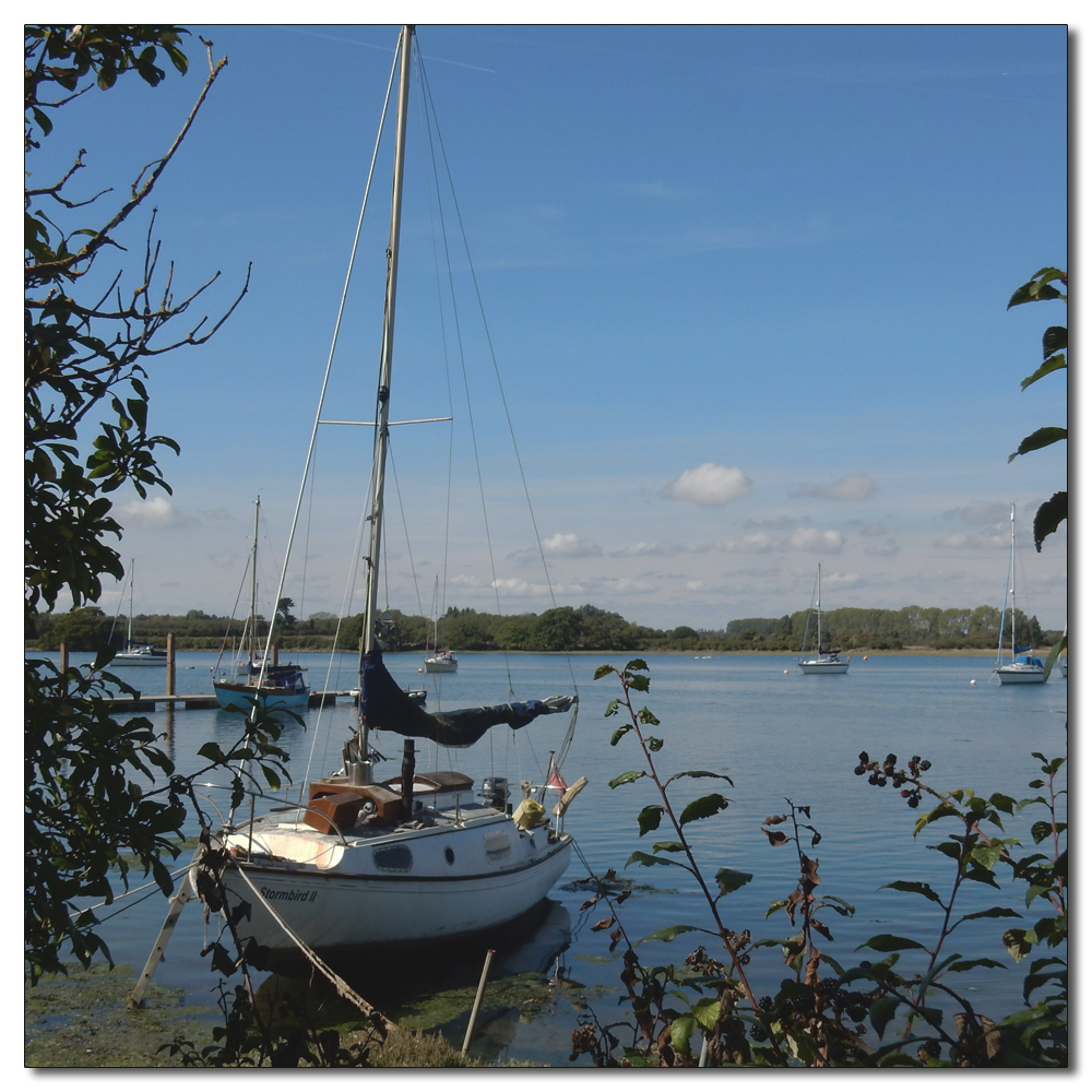 The boats of Dell Quay, 