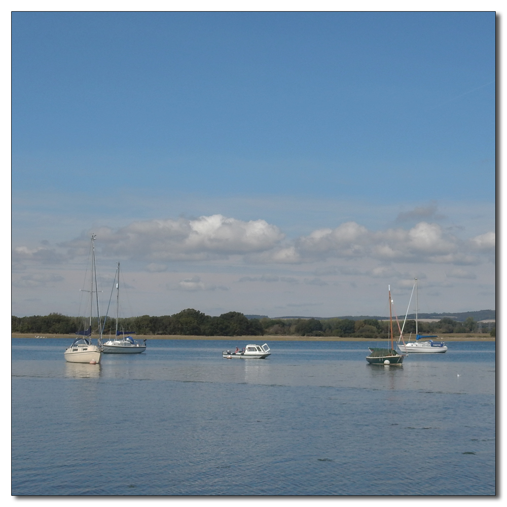 The boats of Dell Quay, 