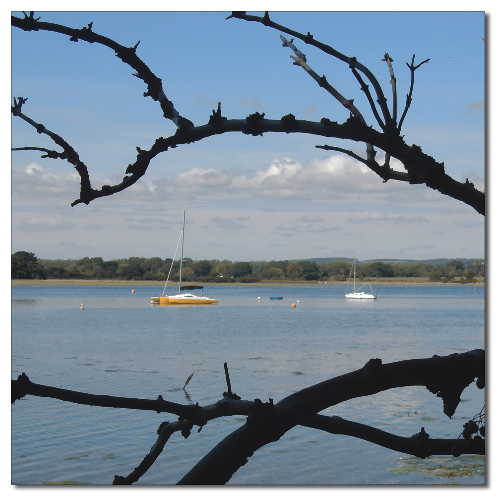 The boats of Dell Quay, 