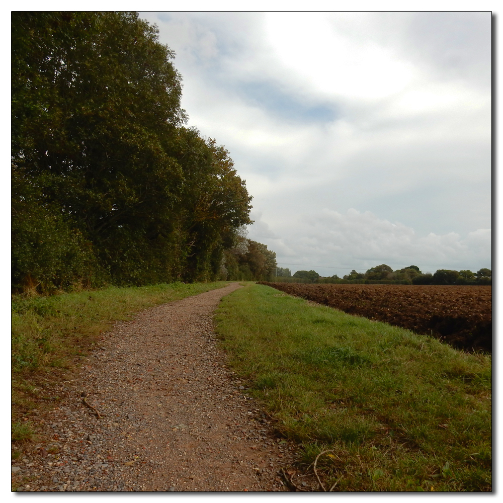 Hidden Treasure, The path to work